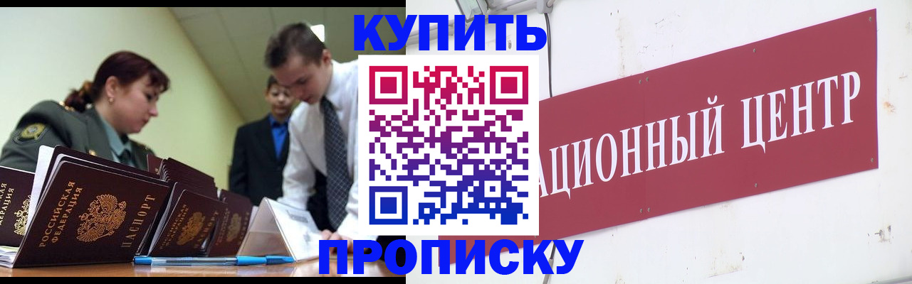 прописка поиск в Кингисеппе